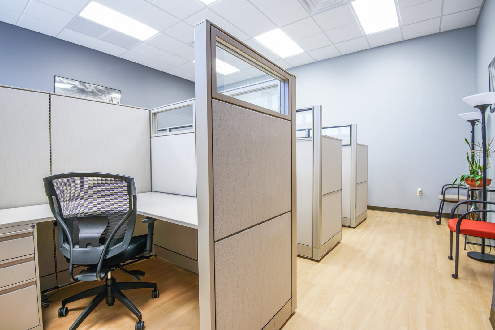 Shared Living Room And Office Space